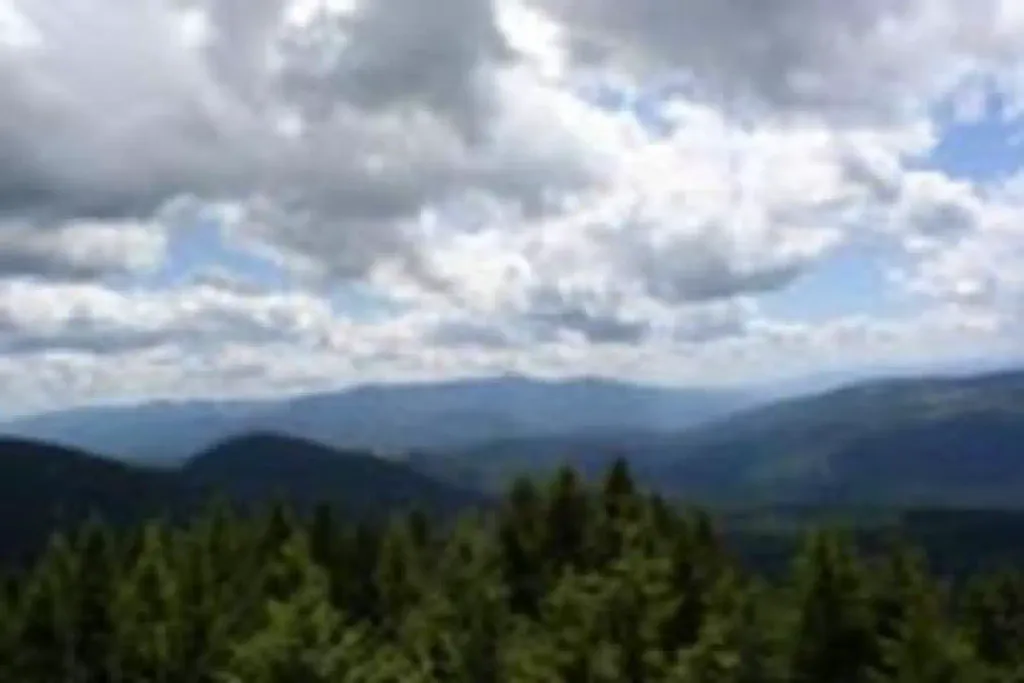 DEER RIDGE LOOKOUT