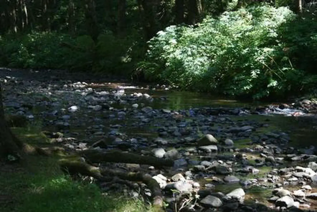 Rock Creek Oregon Coast (Siuslaw National Forest, OR)