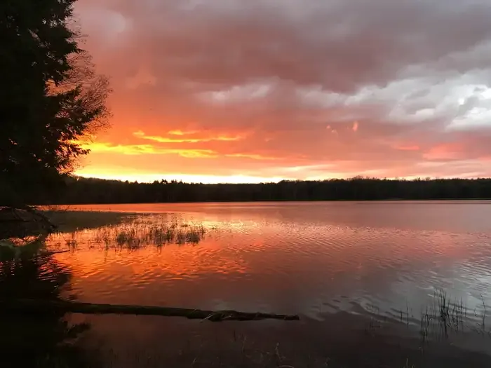 LOST LAKE CABINS