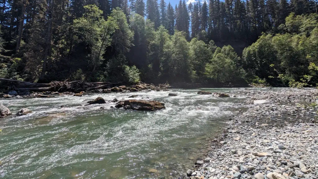 Wiley Creek Group Camp