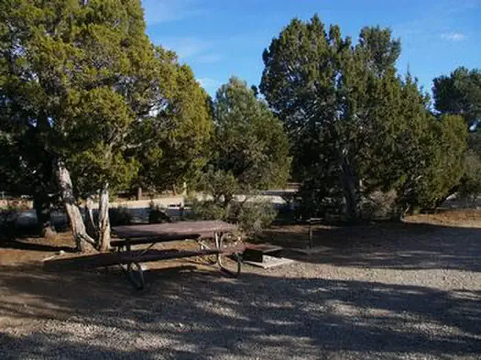 WARD MTN. CAMPGROUND (MURRAY SUMMIT)