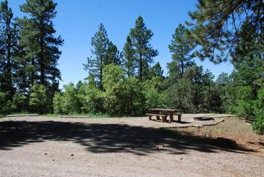 TARGET TREE CAMPGROUND