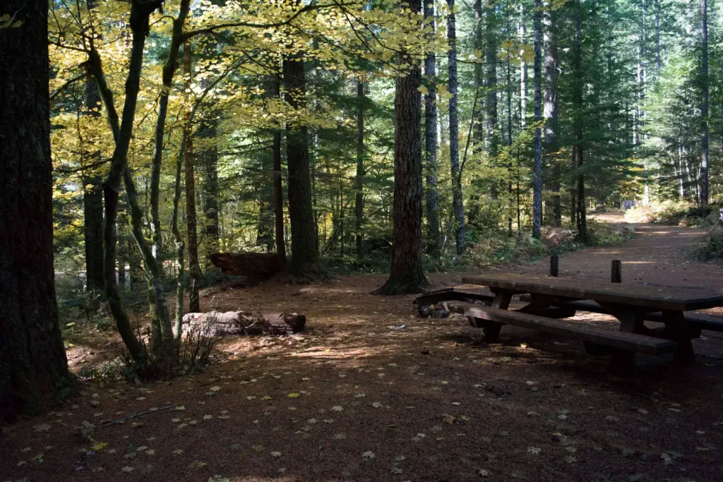 LOWER FALLS CAMPGROUND