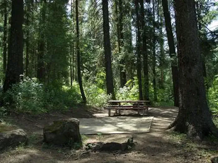 EVERGREEN CAMPGROUND