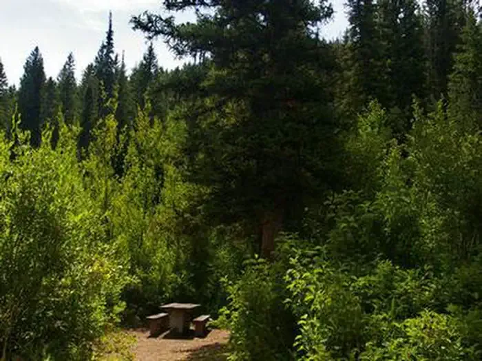 PARIS SPRINGS CAMPGROUND
