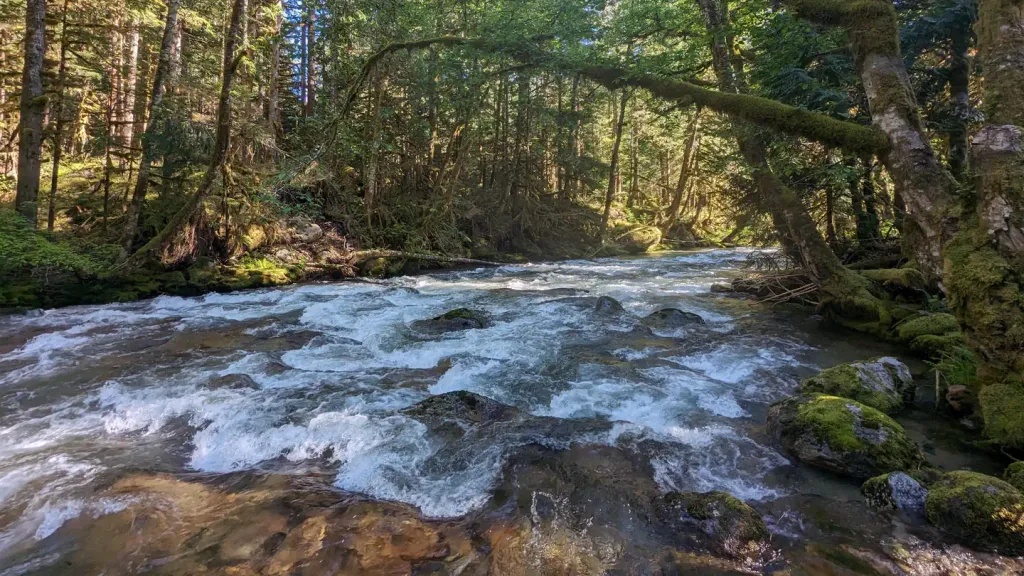 BUCK CREEK CAMPGROUND