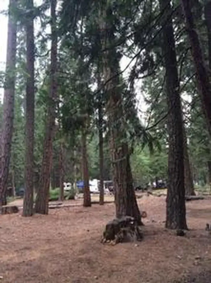 WENCH CREEK