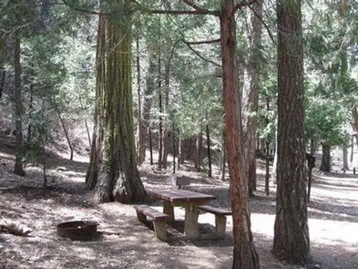 FRY CREEK CAMPGROUND
