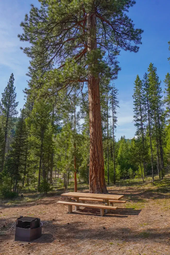 INDIAN TREES CAMPGROUND