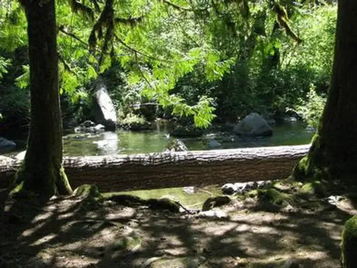 RIPPLEBROOK