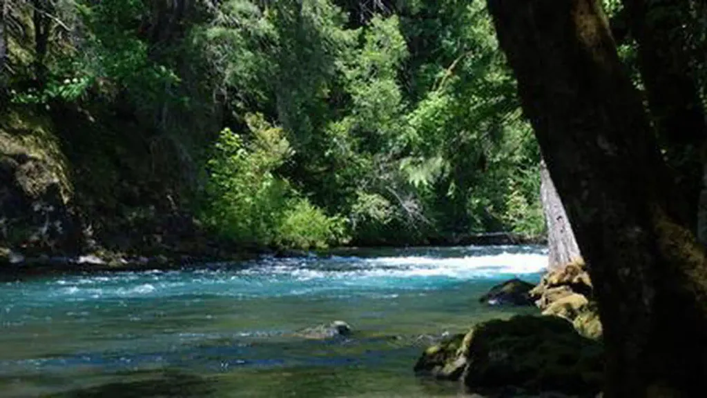 PARADISE IN OREGON