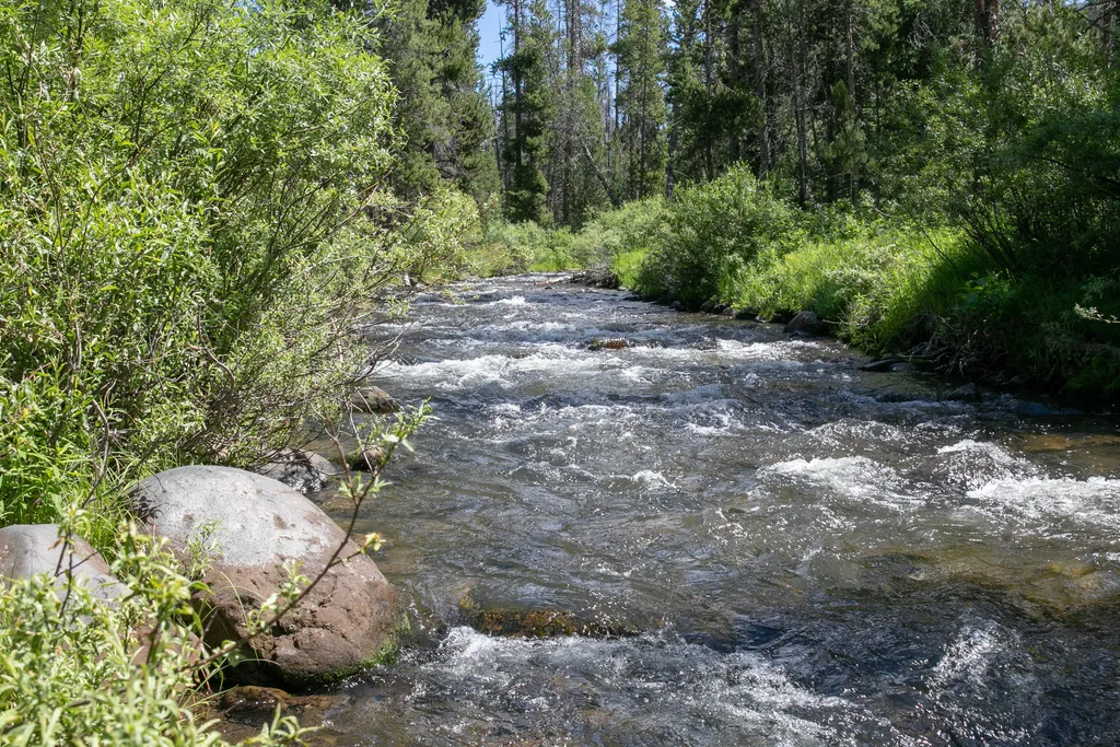 Specimen Creek Trailhead (WK3)