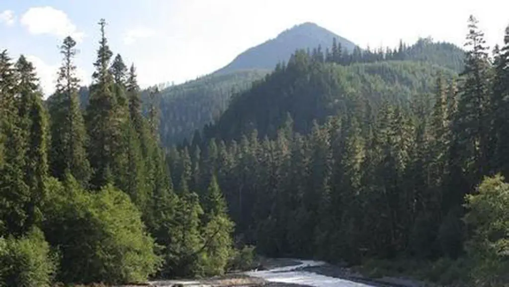 The Dalles Campground