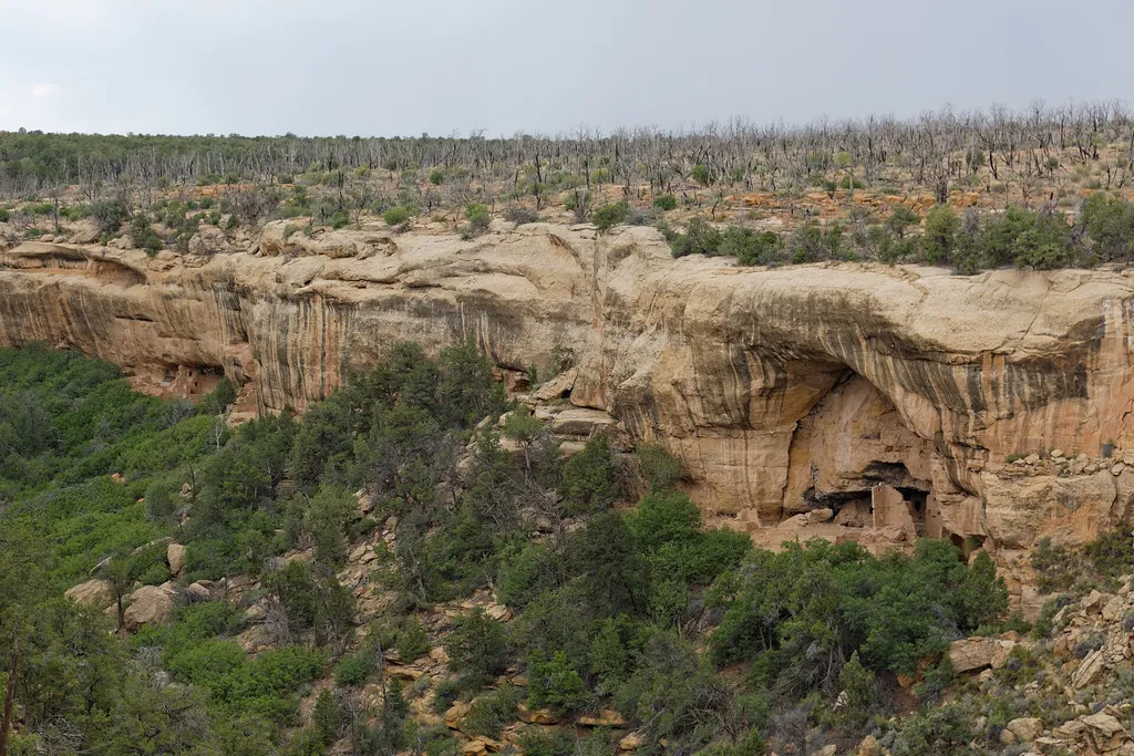 Mesa Top Sites