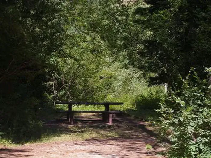 TRAIL CREEK