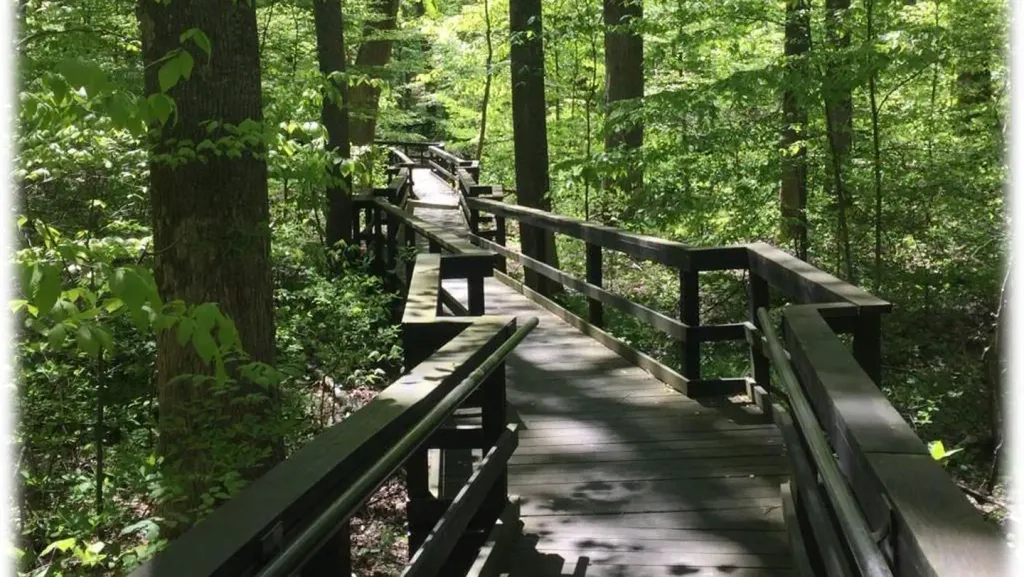 Adirondack Shelters