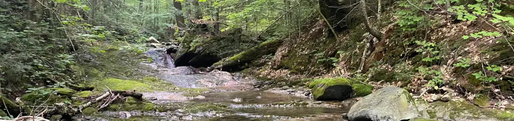 CHITTENDEN BROOK CAMPGROUND