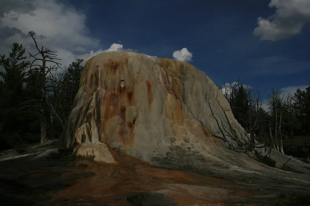 Liberty Cap
