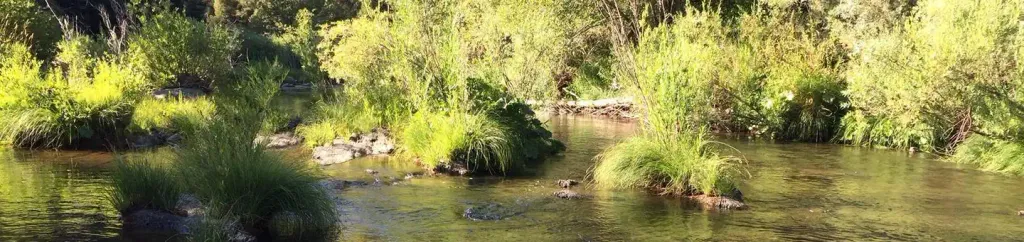 SPANISH CREEK CAMPGROUND