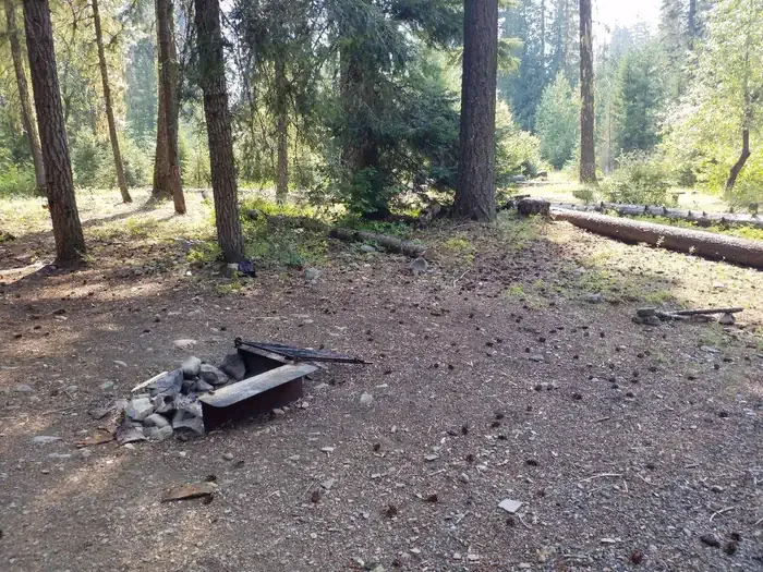 CAYUSE HORSE CAMP
