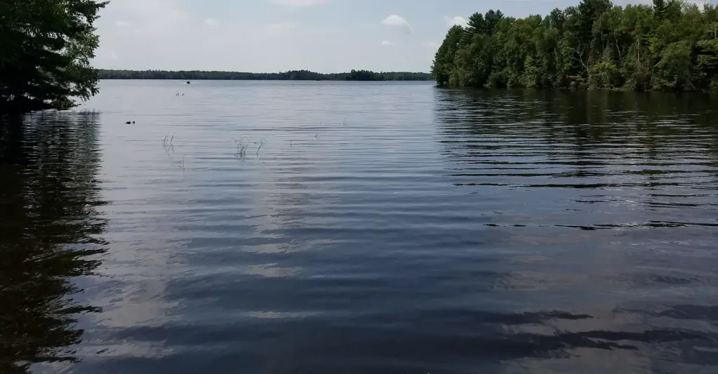 MOOSE LAKE