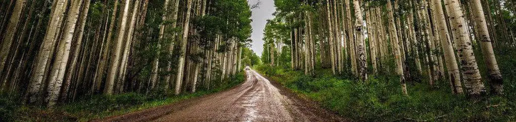 Camping in Montrose, Colorado