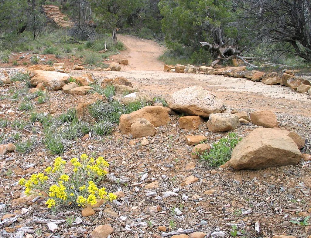 Soda Canyon Overlook Trail