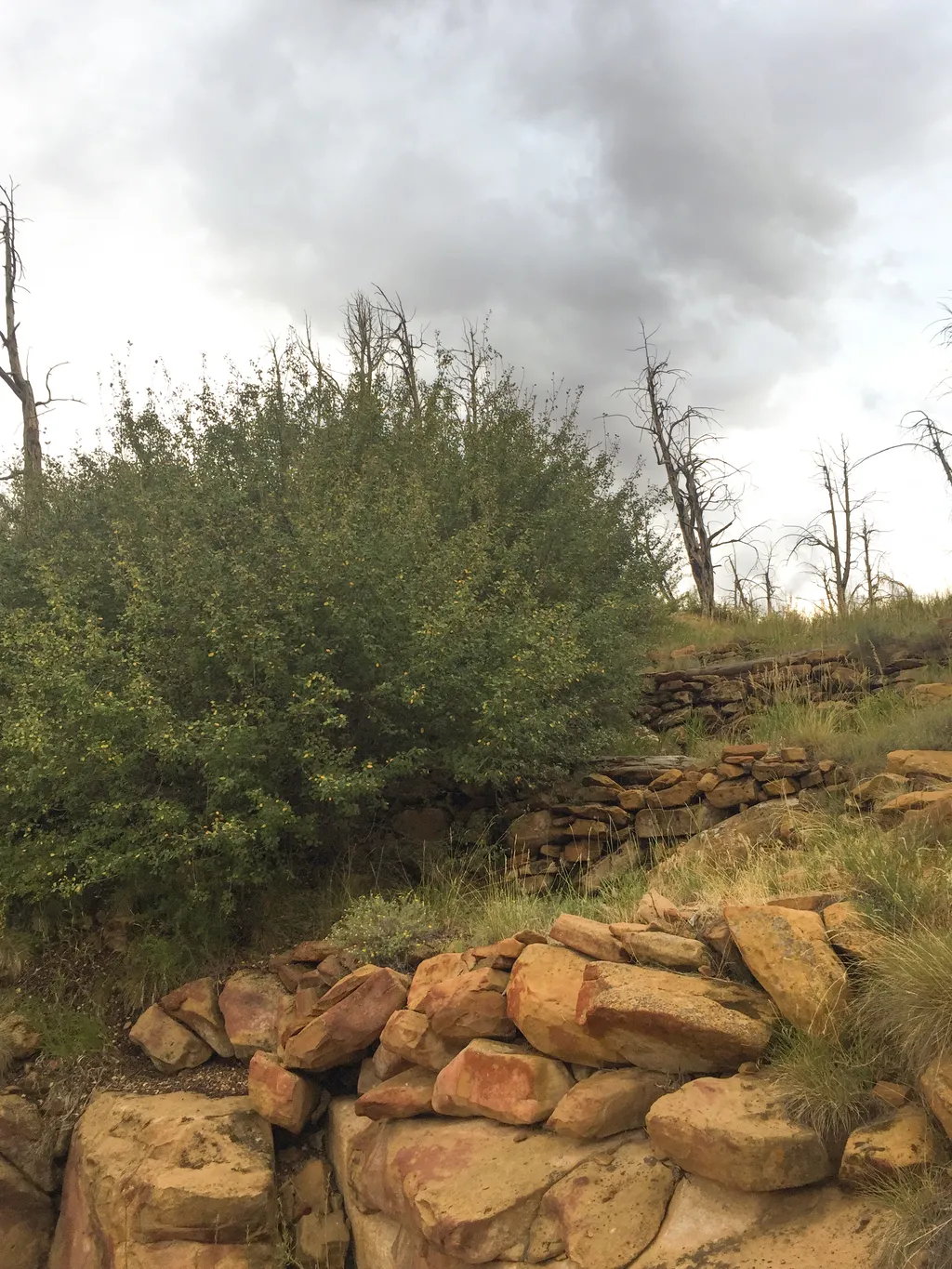 Farming Terrace Trail