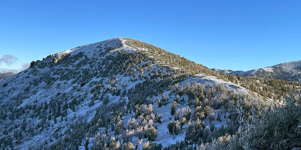 Mt Houghton