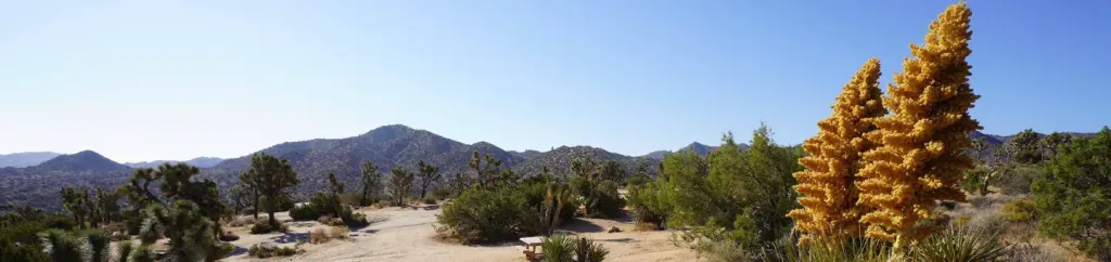 BLACK ROCK CAMPGROUND