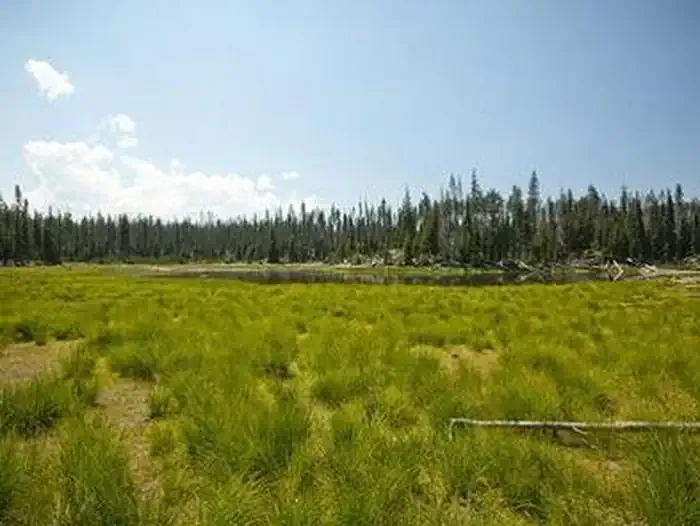 Little Fawn Campground