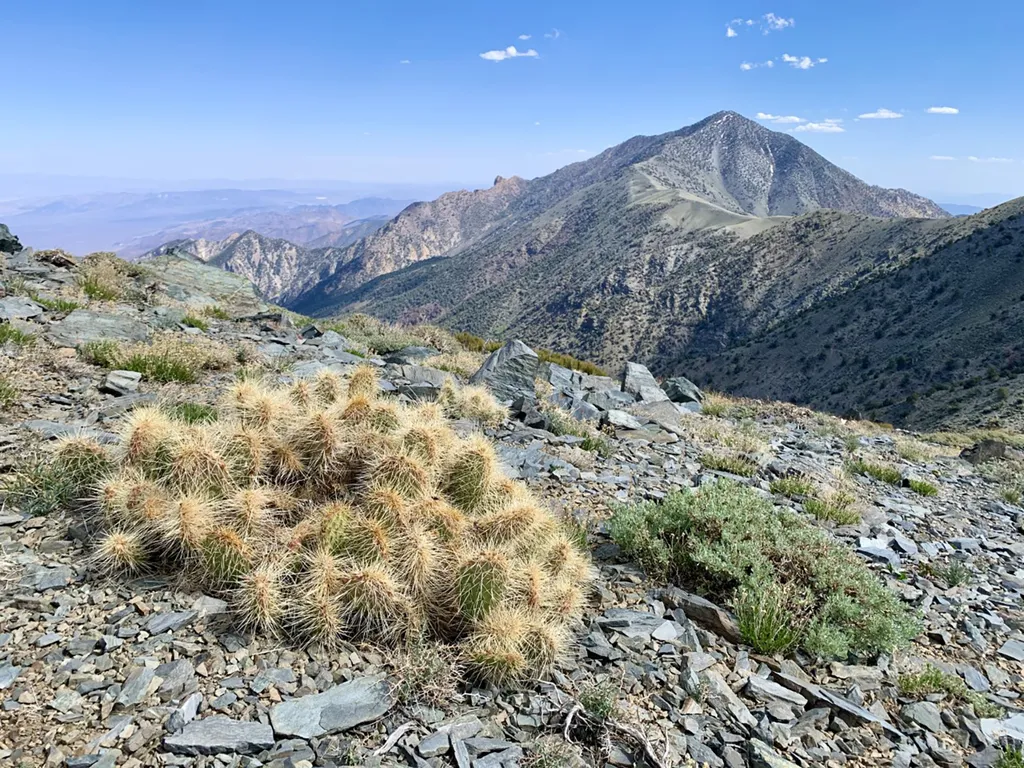 Telescope Peak