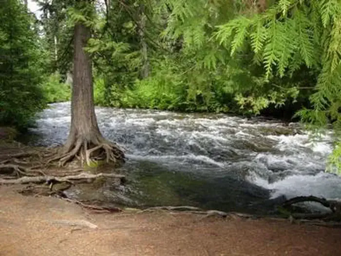 TUMWATER GROUP SITE