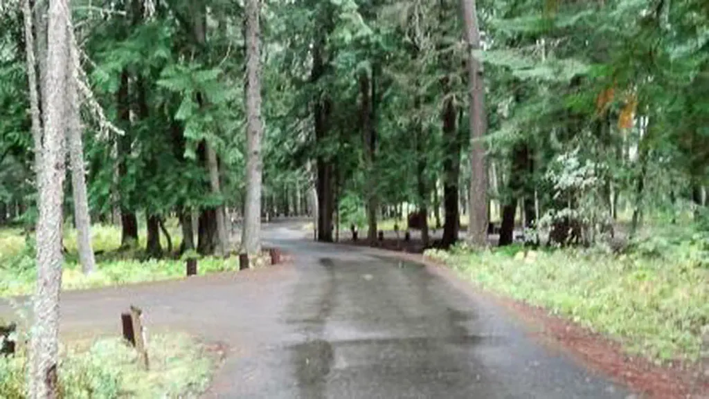 Yaak River Campground (MT)