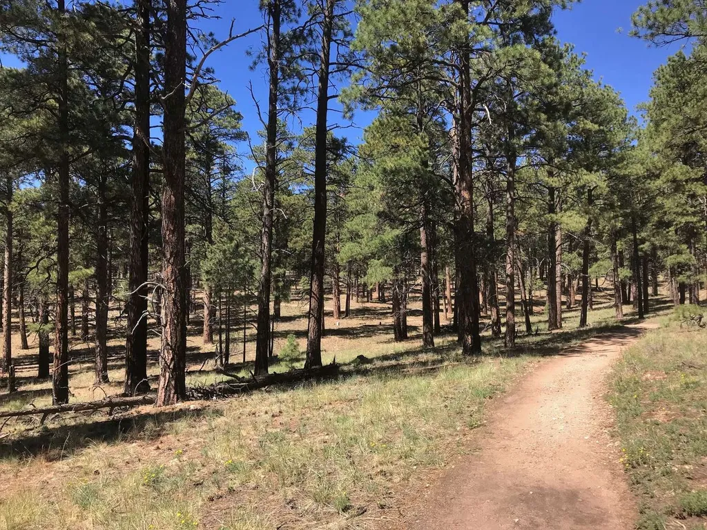 Cape Final Trail
