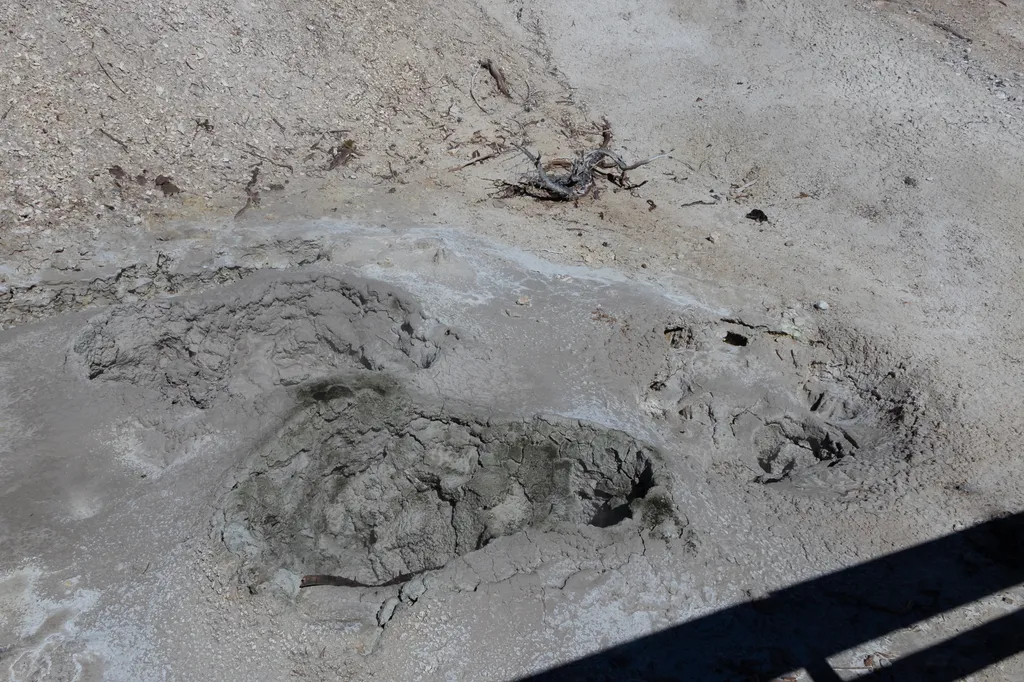 Grizzly Fumarole