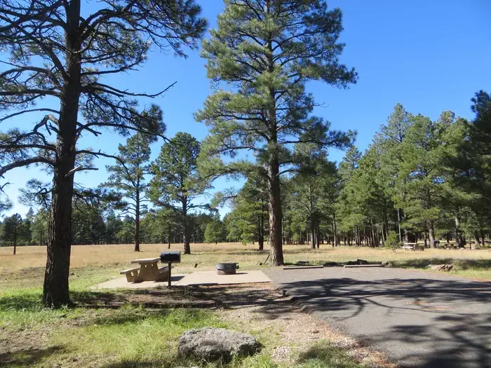 PINEGROVE