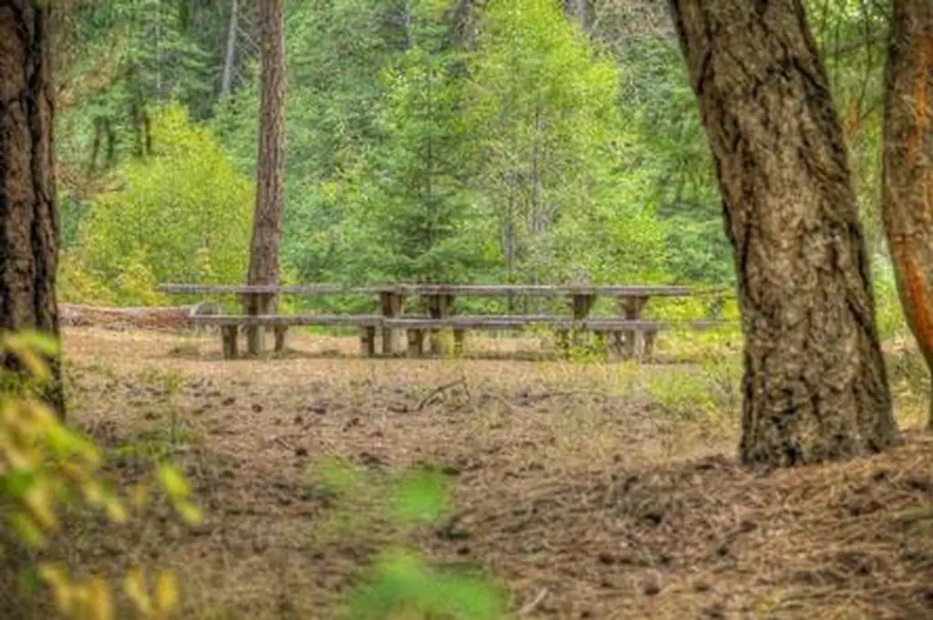 SAWMILL FLAT CAMPGROUND