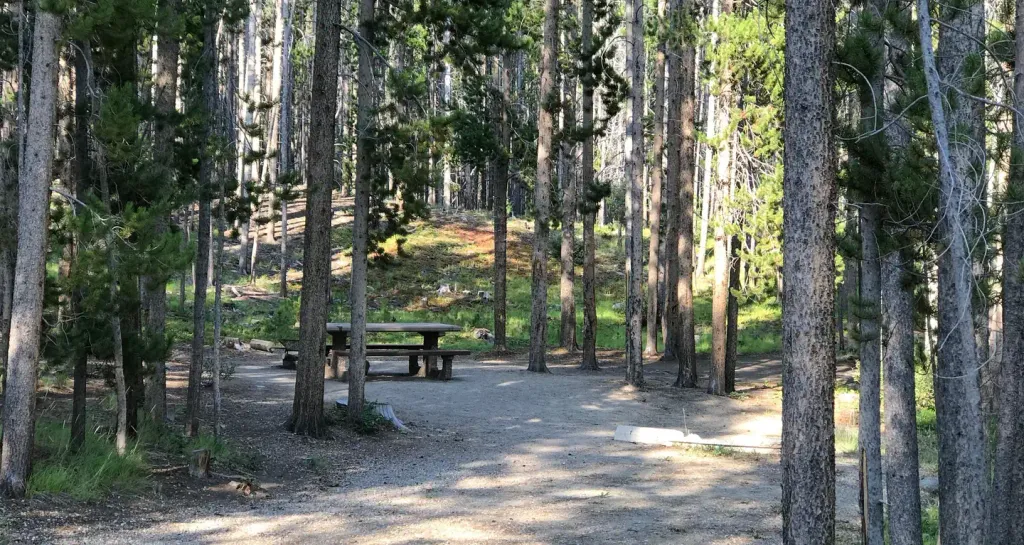 SPRING HILL CAMPGROUND