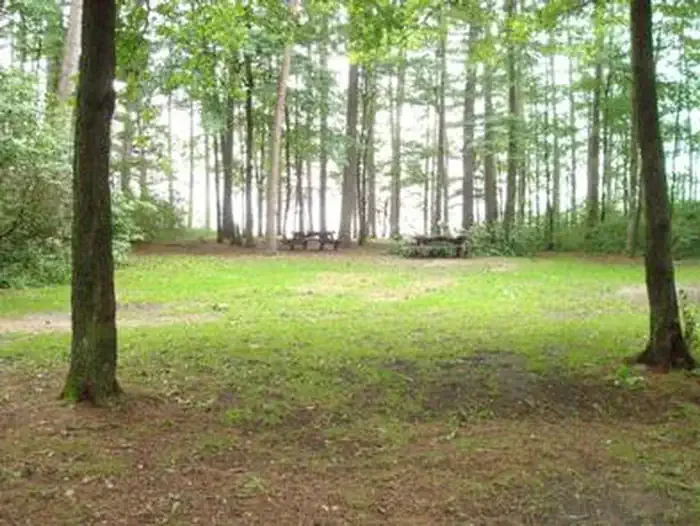 Winnie Campground - USFS