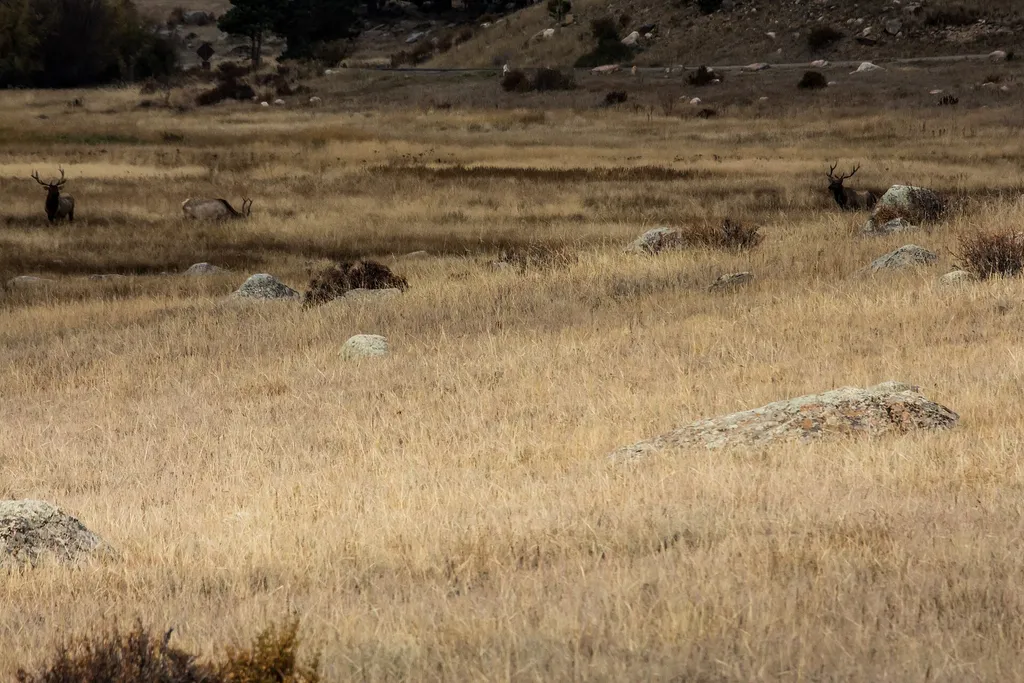 Moraine Park