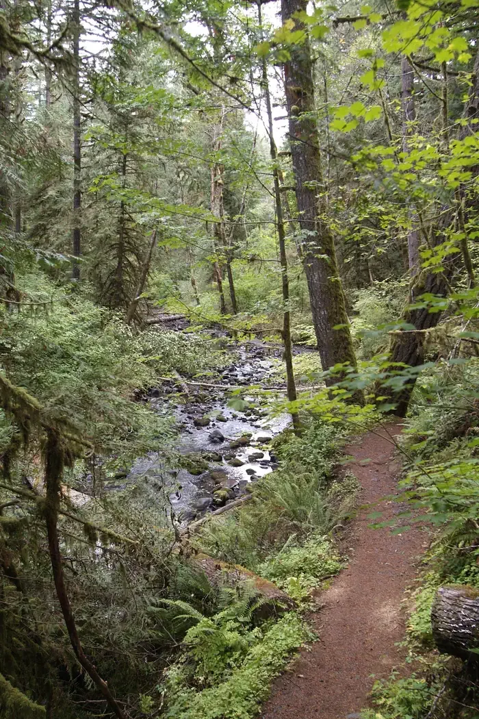Shotgun Creek Recreation Site
