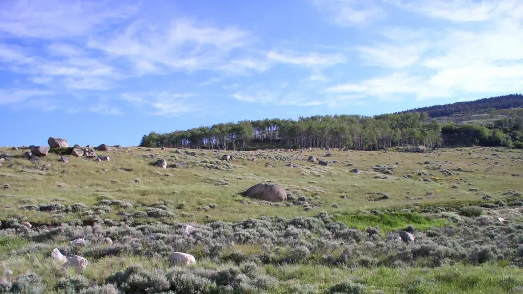SHELL CREEK