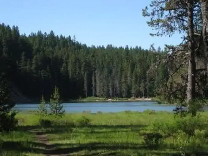 FROG LAKE