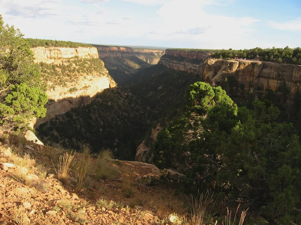 Cliff Palace View