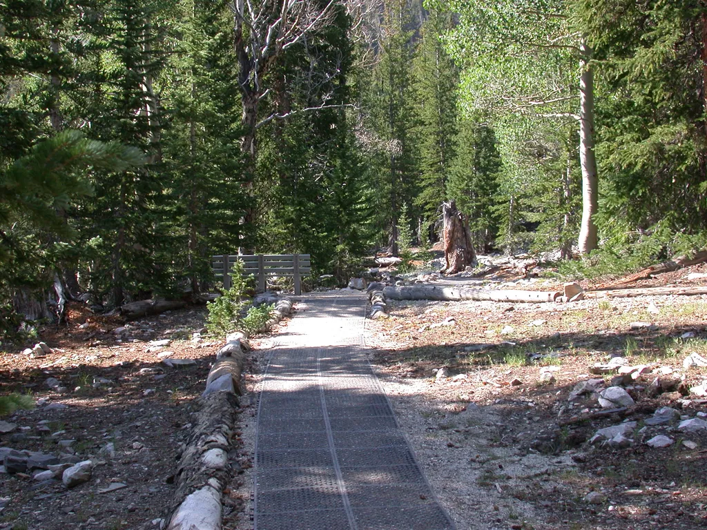 Bristlecone Trailhead