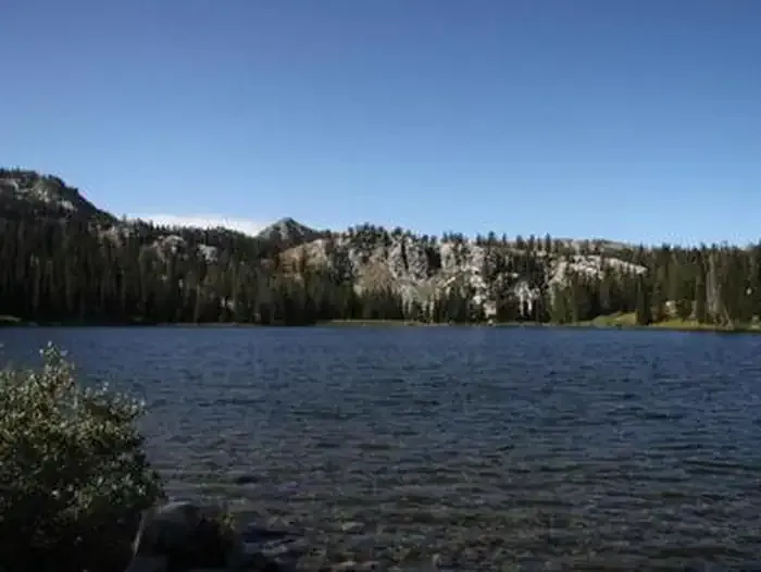 BIG TRINITY CABIN