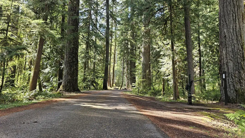 Douglas Fir Campground