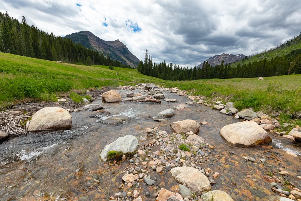 Soda Butte Creek