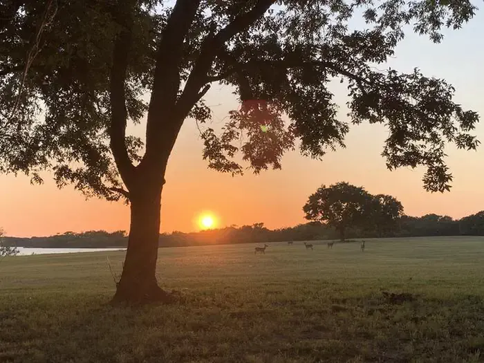 WOLF CREEK (Navarro Mills Lake)